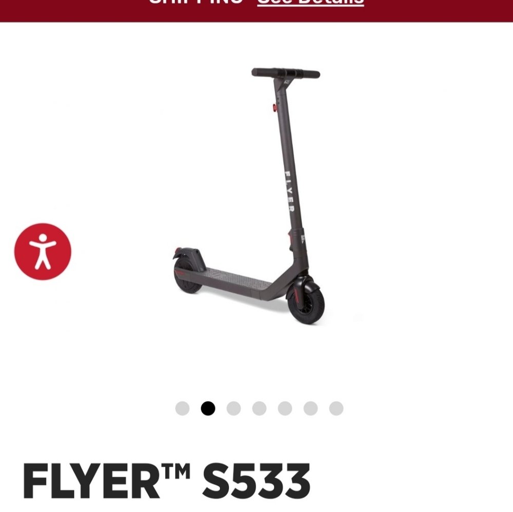 The Flyer S533 foldable electric scooter